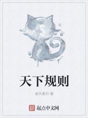 天下规则