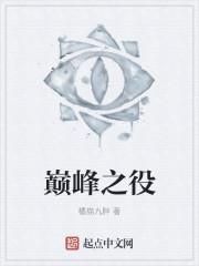 巅峰之役