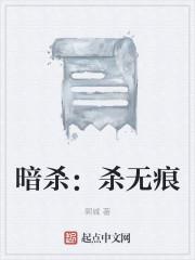暗杀:杀无痕