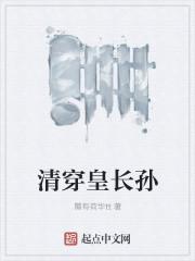 清穿皇长孙