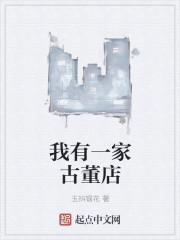 我有一家古董店