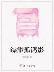 缥渺孤鸿影