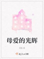 母爱的光辉