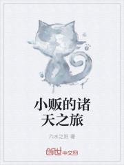 小贩的诸天之旅