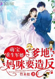 萌宝重生军婚:爹地,妈咪要造反