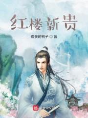 红楼新贵