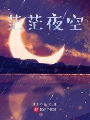 茫茫夜空