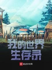 我的世界生存录