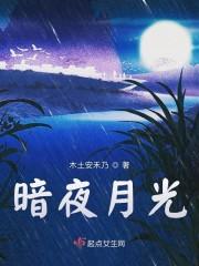 暗夜月光