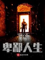 我的卑鄙人生
