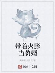 带着火影当赘婿