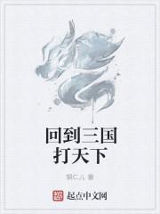 回到三国打天下
