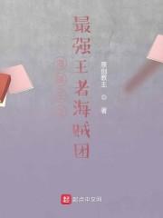 海贼王之最强王者海贼团