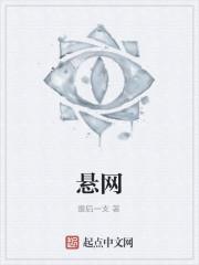 悬网