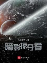 暗影掠夺者