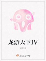 龙游天下IV