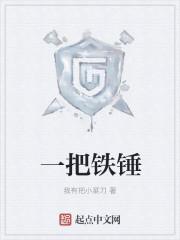 一把铁锤