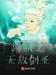 海贼之无敌剑圣