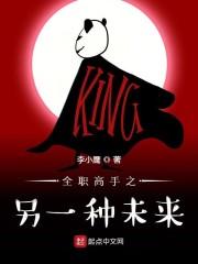 全职高手之另一种未来