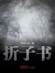 折子书
