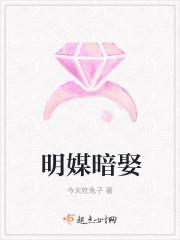 明媒暗娶